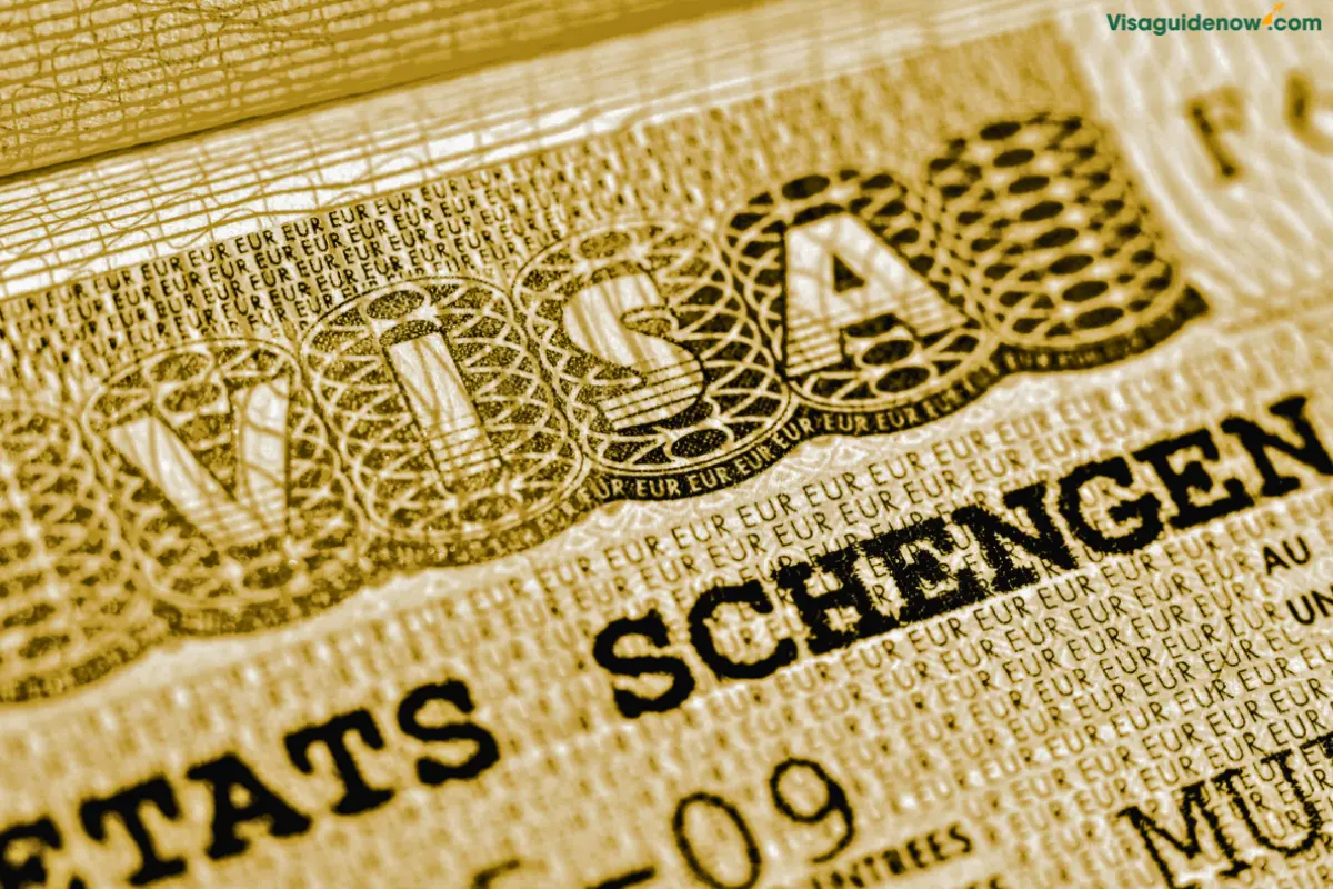 Golden Visa – Guidelines and Requirements