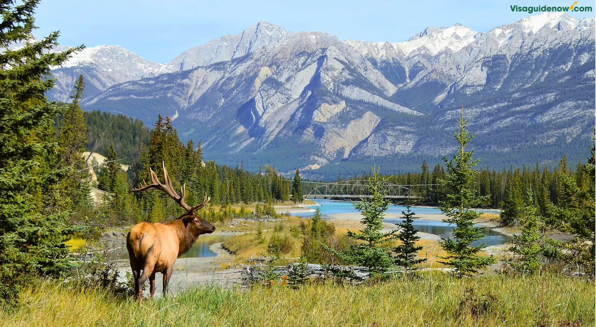 Jasper National Park - Canada