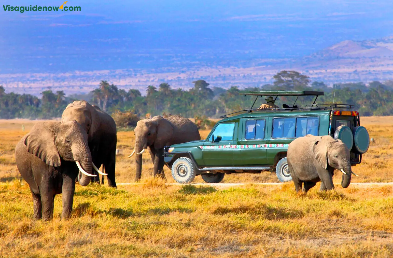 Masai Mara - Kenya